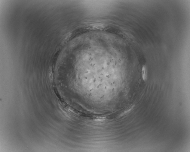X0000053141395200507251803
