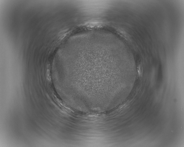 X0000053141396200507251803