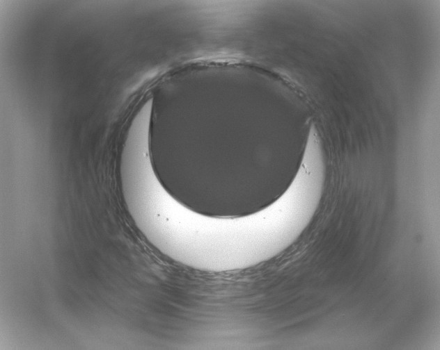X0000053141398200507251803