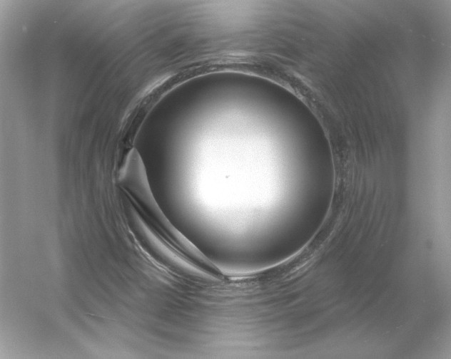 X0000053141402200507251803