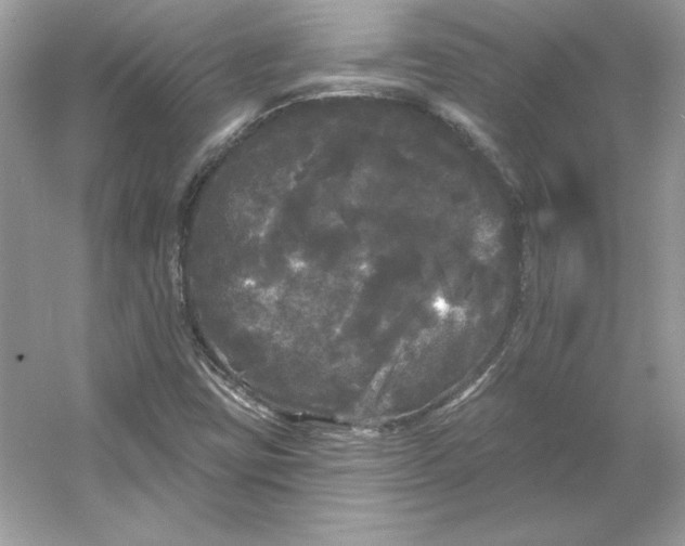X0000053141403200507251803