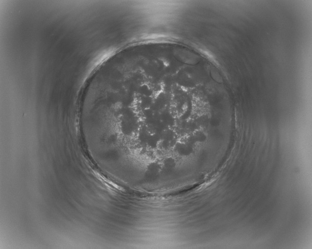 X0000053141405200507251803