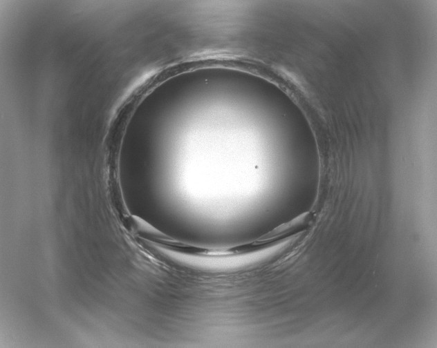 X0000053141406200507251803