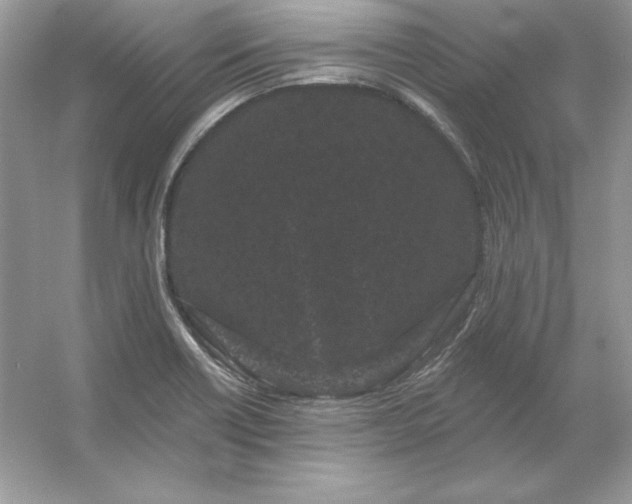 X0000053141418200507251803