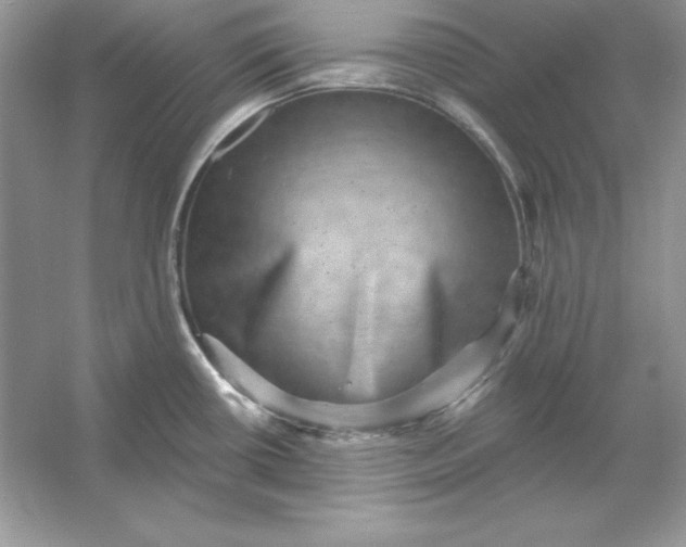 X0000053141434200507251804