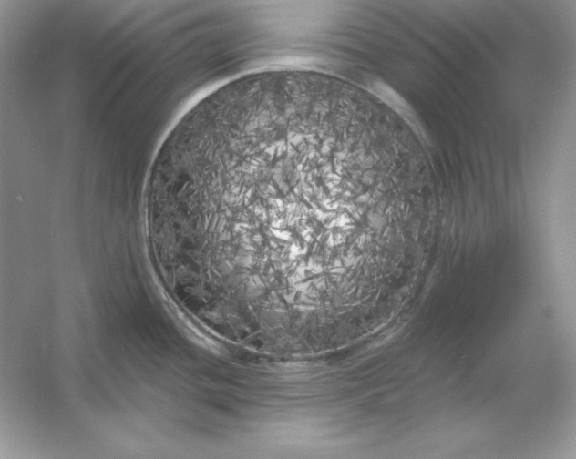 X0000053141436200507251804