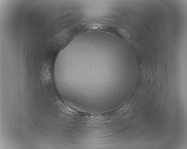 X0000053141442200507251803