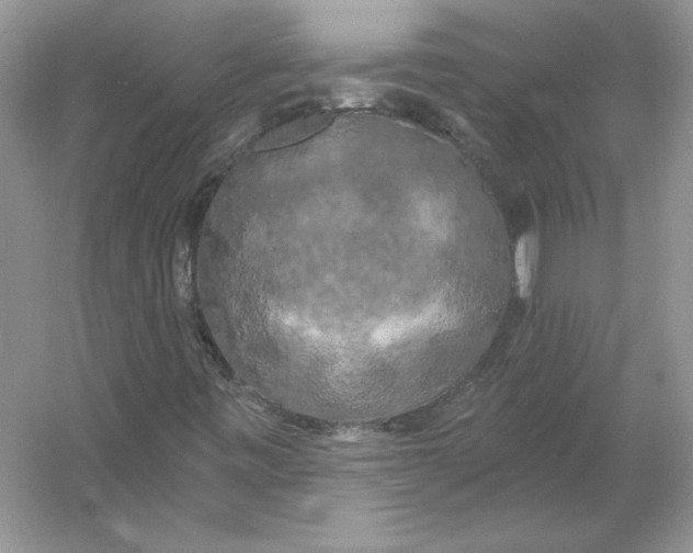 X0000053141443200507251803
