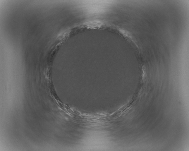 X0000053141445200507251803