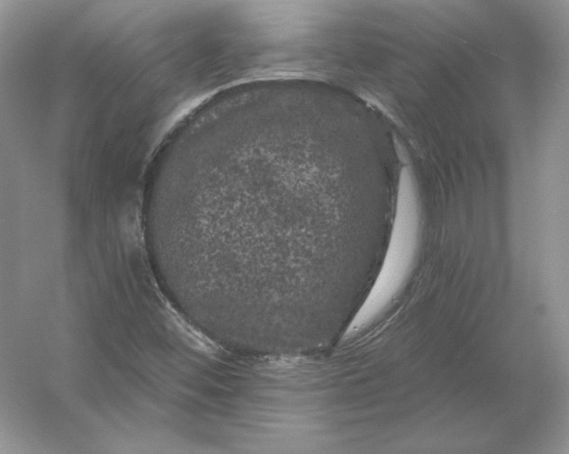 X0000053141452200507251803