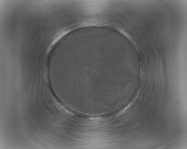 X0000053141453200507251803