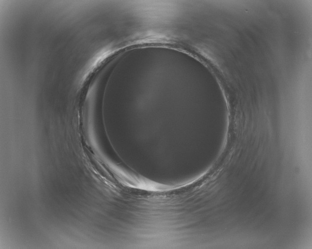 X0000053141455200507251803