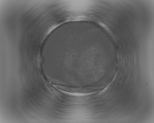 X0000053141457200507251803