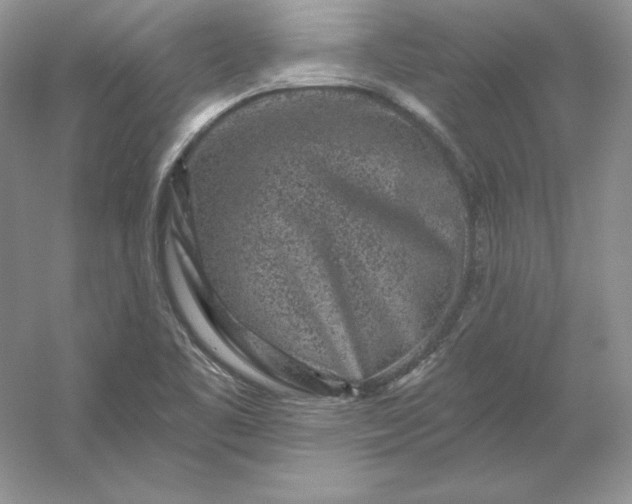 X0000053141461200507251803