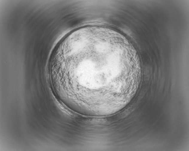 X0000053141466200507251803