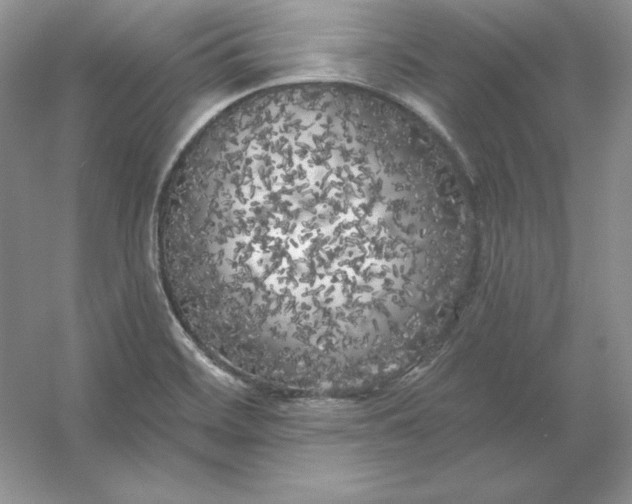 X0000053141468200507251802
