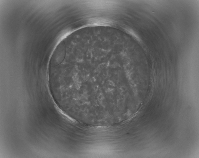 X0000053141471200507251802