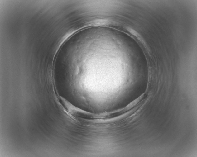 X0000053141473200507251802