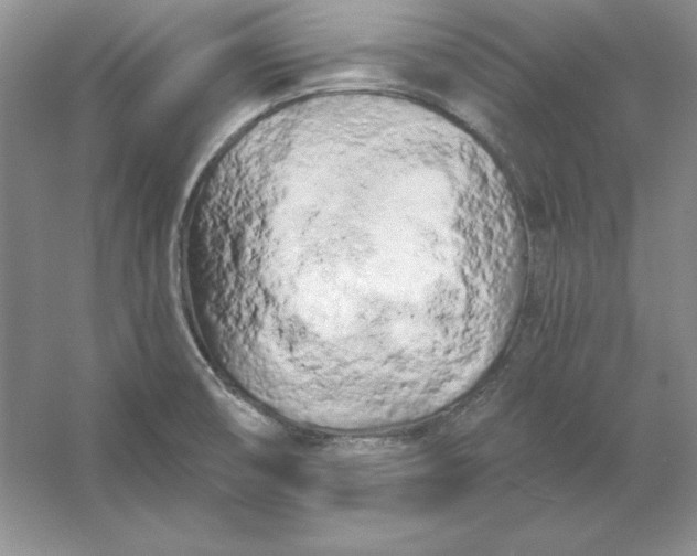X0000053141474200507251802