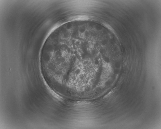 X0000053141475200507251802