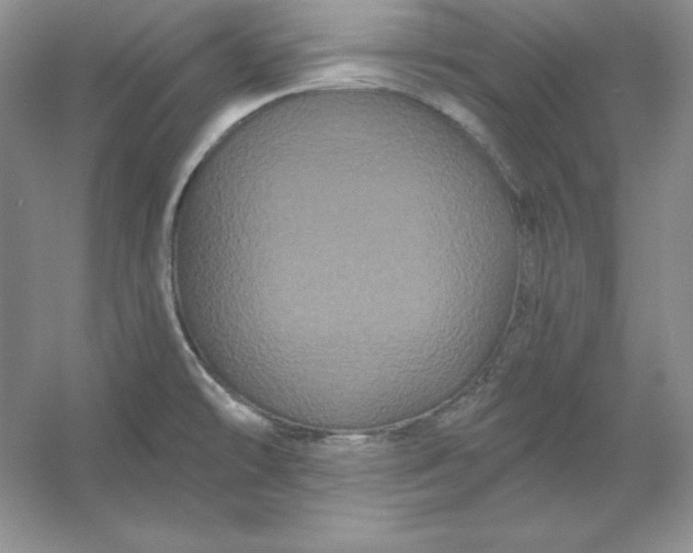X0000053141478200507251802