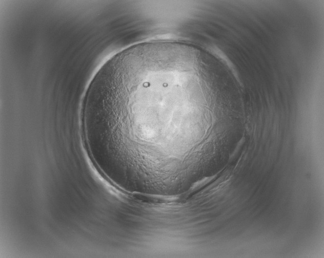 X0000053141483200507251802