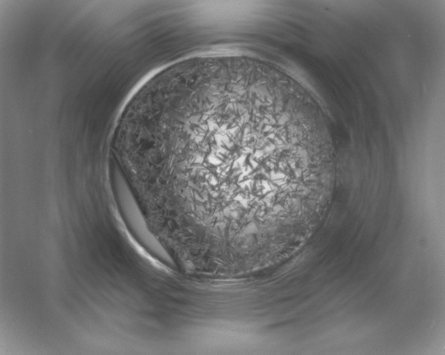 X0000053141484200507251802