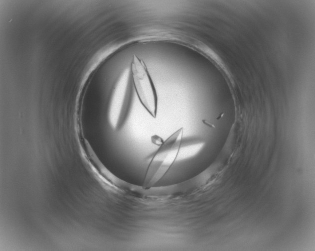 X0000053141485200507251802
