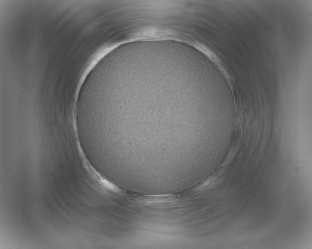X0000053141486200507251802