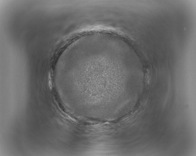 X0000053141493200507251801