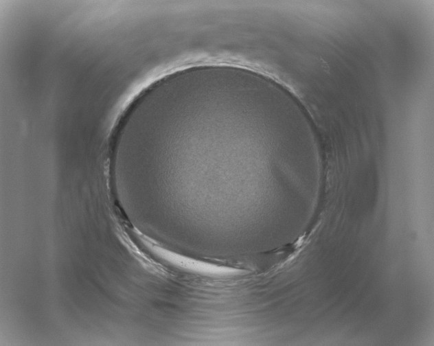 X0000053141503200507251802