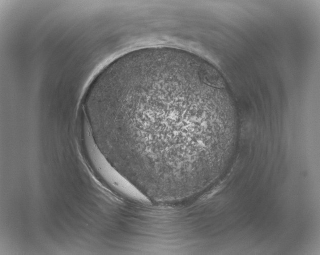 X0000053141509200507251802