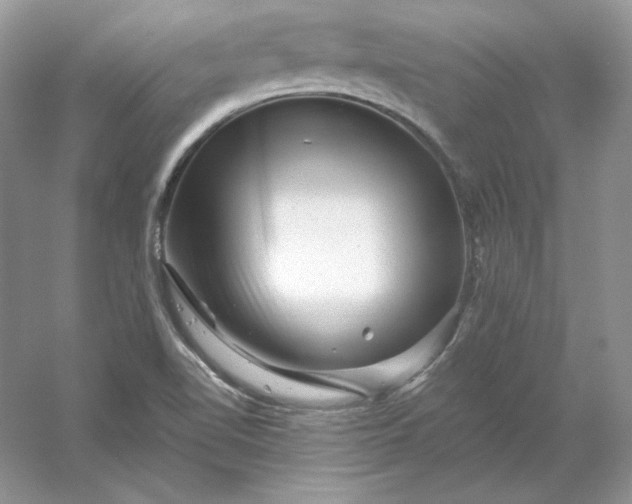 X0000053141510200507251802