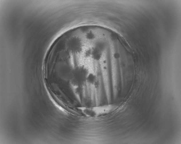 X0000053141519200507251802