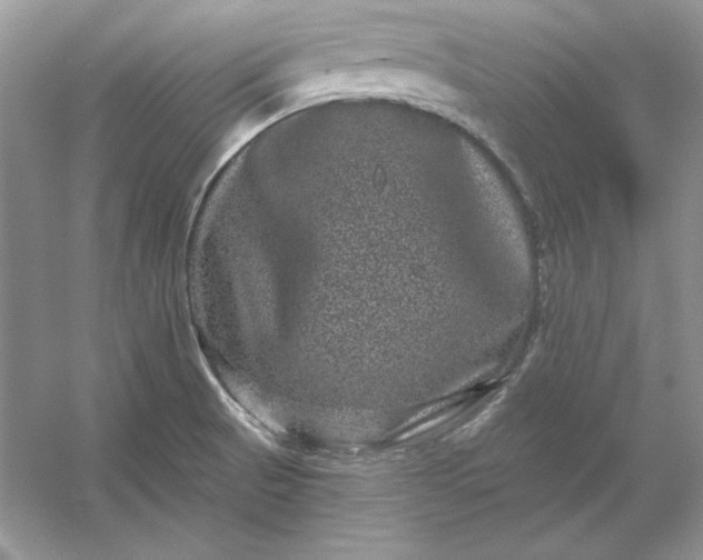 X0000053141521200507251802