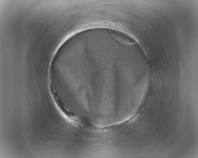 X0000053141523200507251802