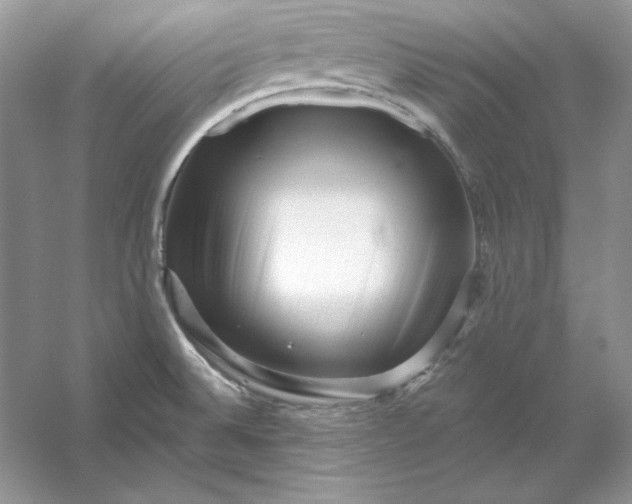 X0000053141524200507251802