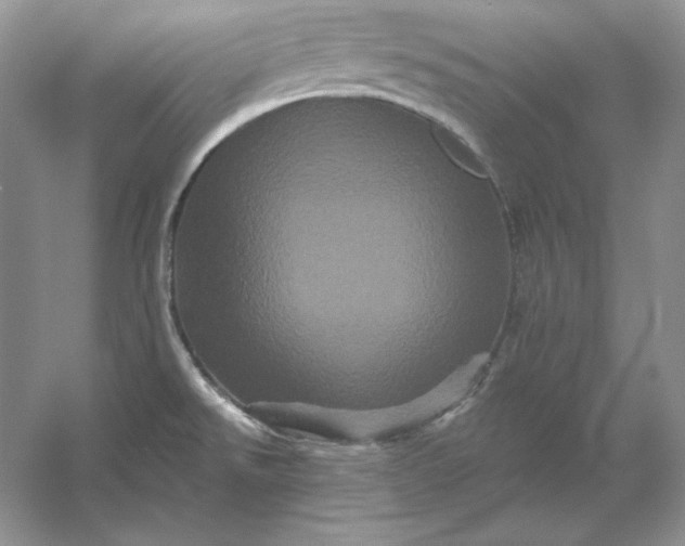 X0000053141526200507251802