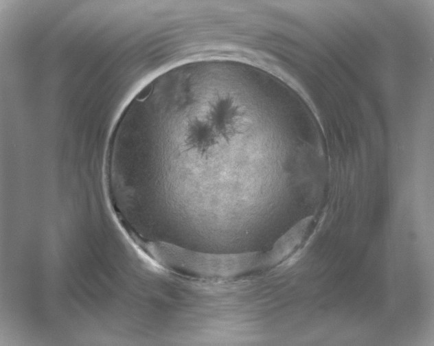 X0000053141533200507251802