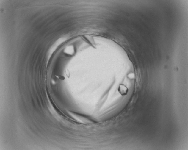 X0000053140003200508012256