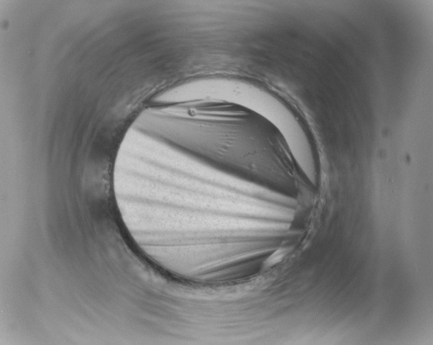 X0000053140017200508012255
