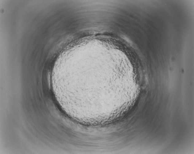 X0000053140022200508012255