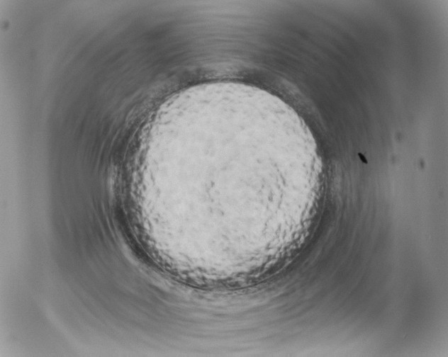 X0000053140026200508012255