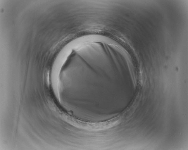 X0000053140027200508012255