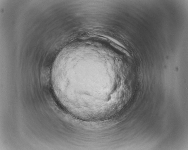 X0000053140030200508012255