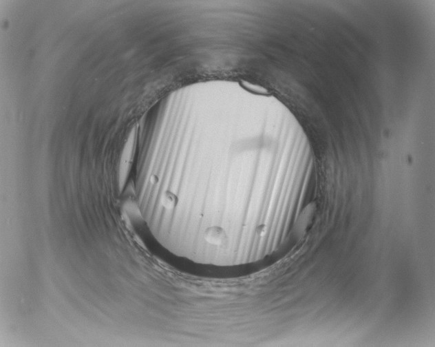 X0000053140033200508012255