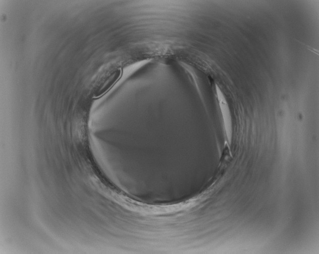 X0000053140035200508012255