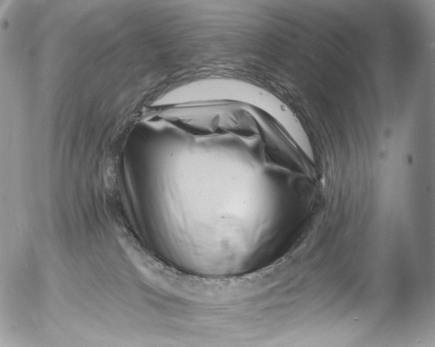 X0000053140037200508012255