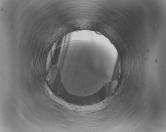 X0000053140039200508012255