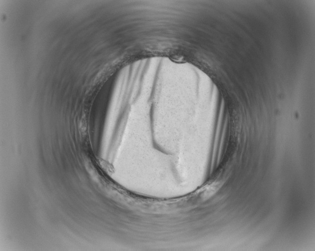 X0000053140040200508012255